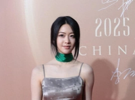 向涵之亮相2025中国时尚产业盛典红毯活动-芝麻资源分享网