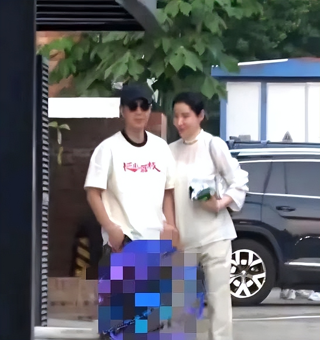 大鹏与妻子牵手漫步，亲密互动引网友热议——网友：太过做作-潇洒资源分享网