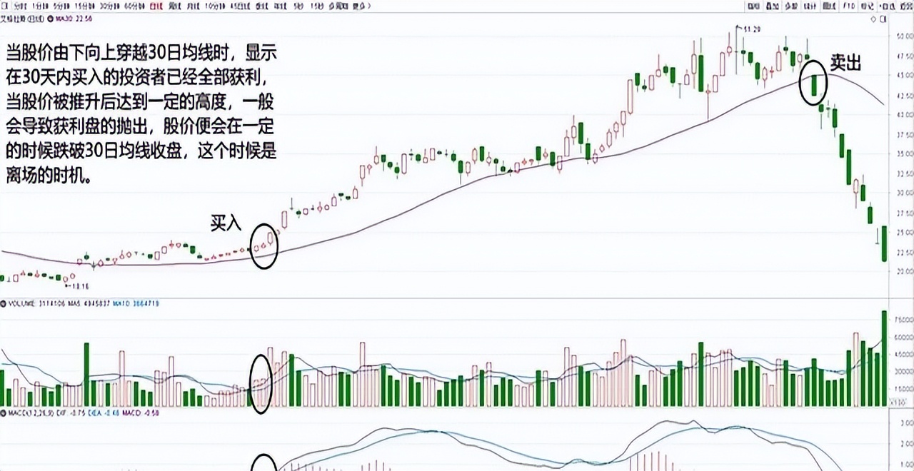 北京的一位金融女博士明确指出：若手头有20万元，强烈推荐专注于以下两个策略！-潇洒资源分享网