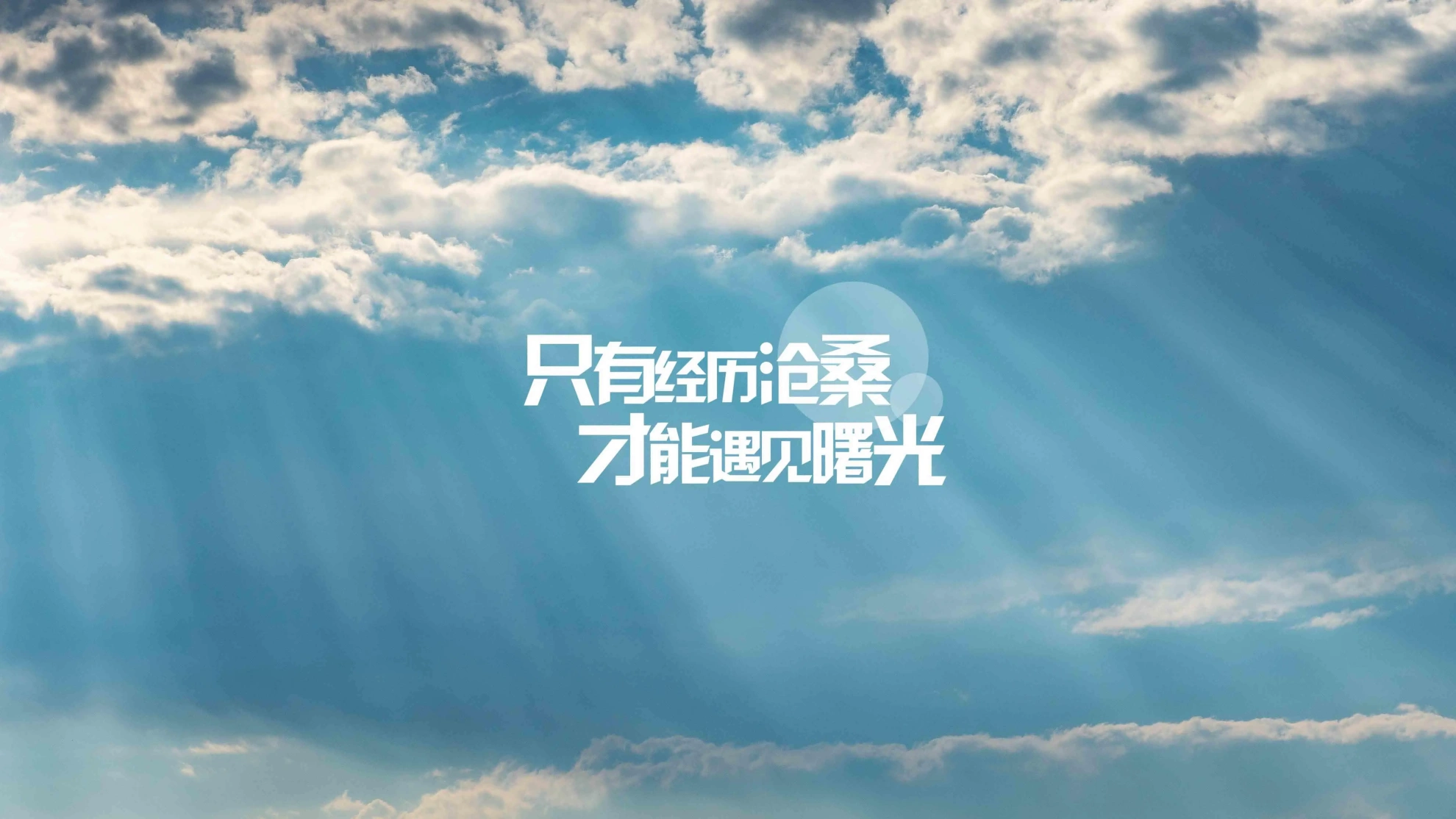 芝麻资源分享网
